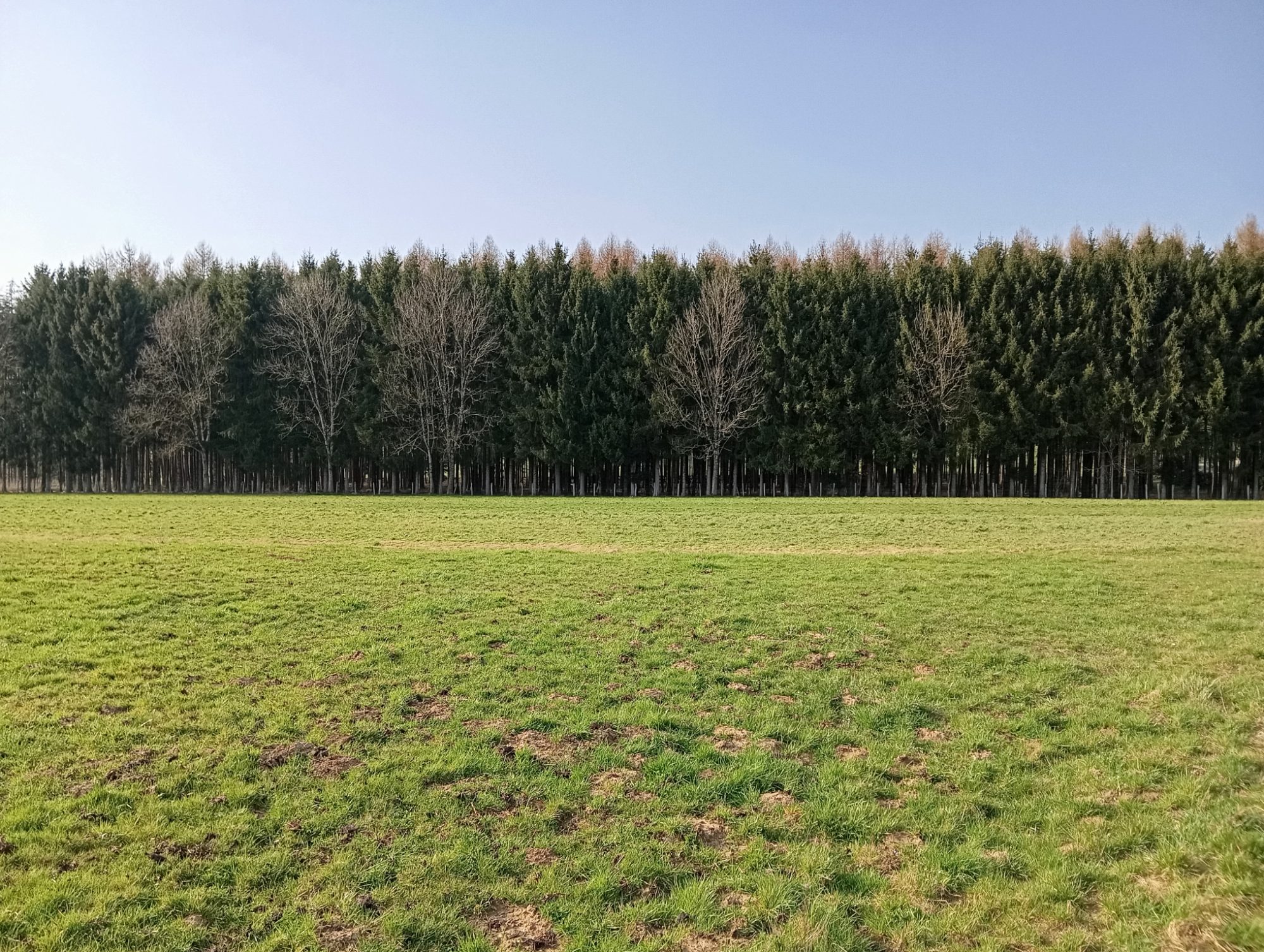 Montagne à Jura — Clairière calme démo