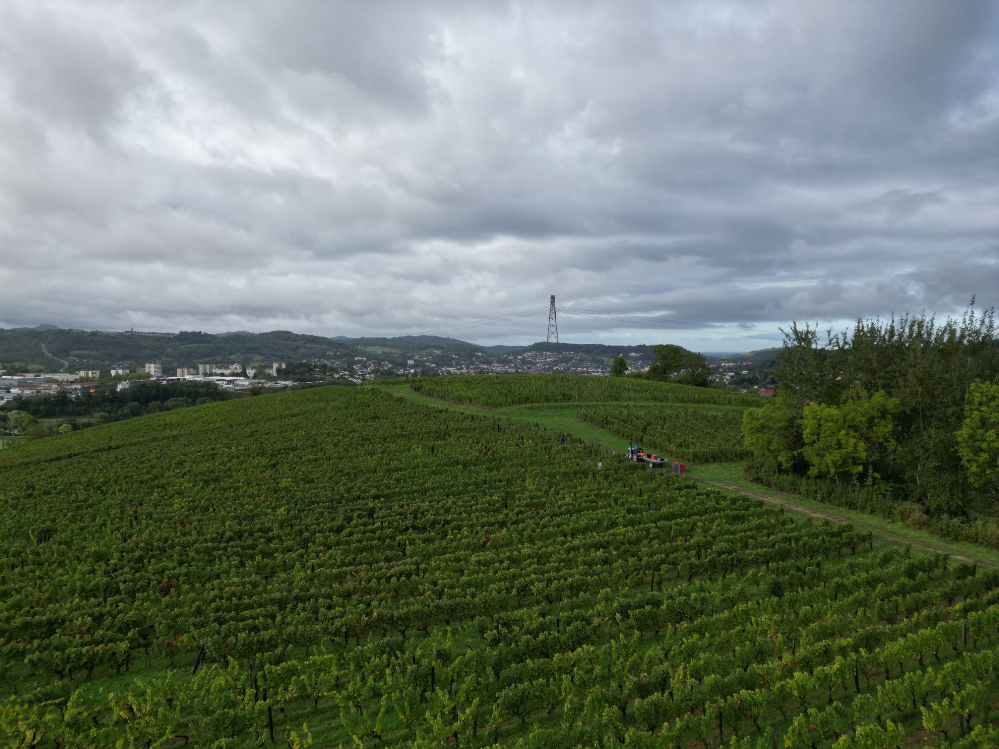 DANS LES VIGNES AU DESSUS DE LONS LE SAUNIER — photo 2