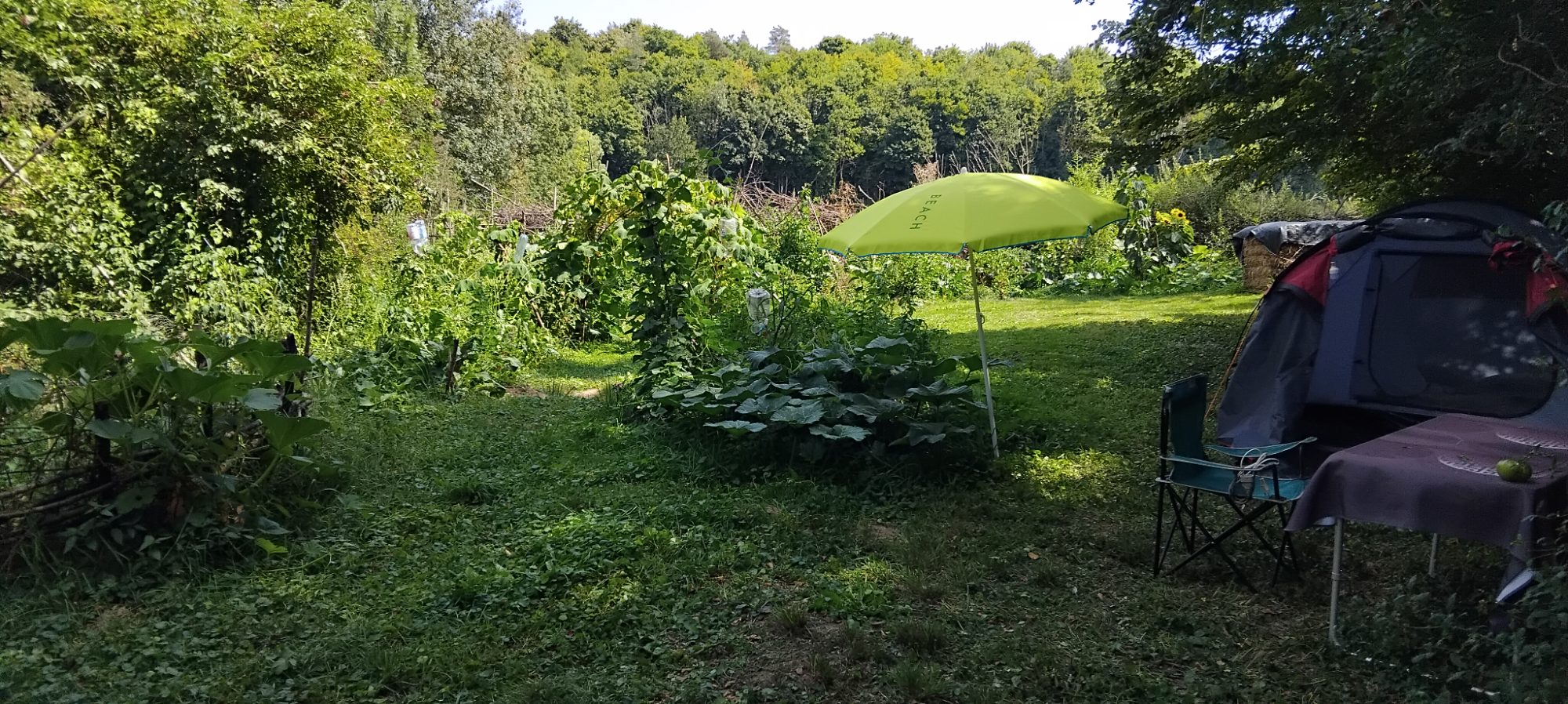 La petite ferme dans la prairie — photo 3