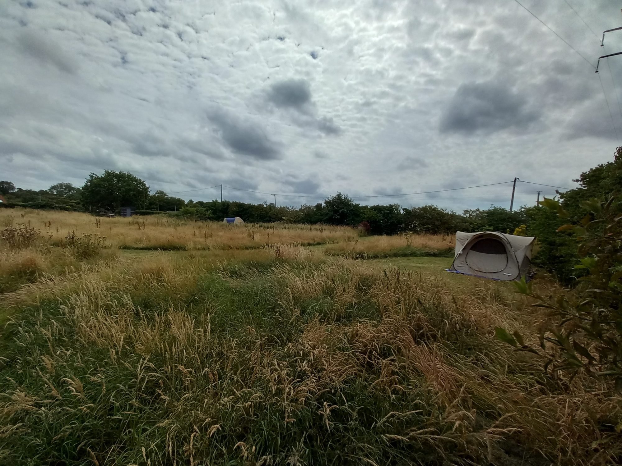Domaine de Kergomar — photo 2