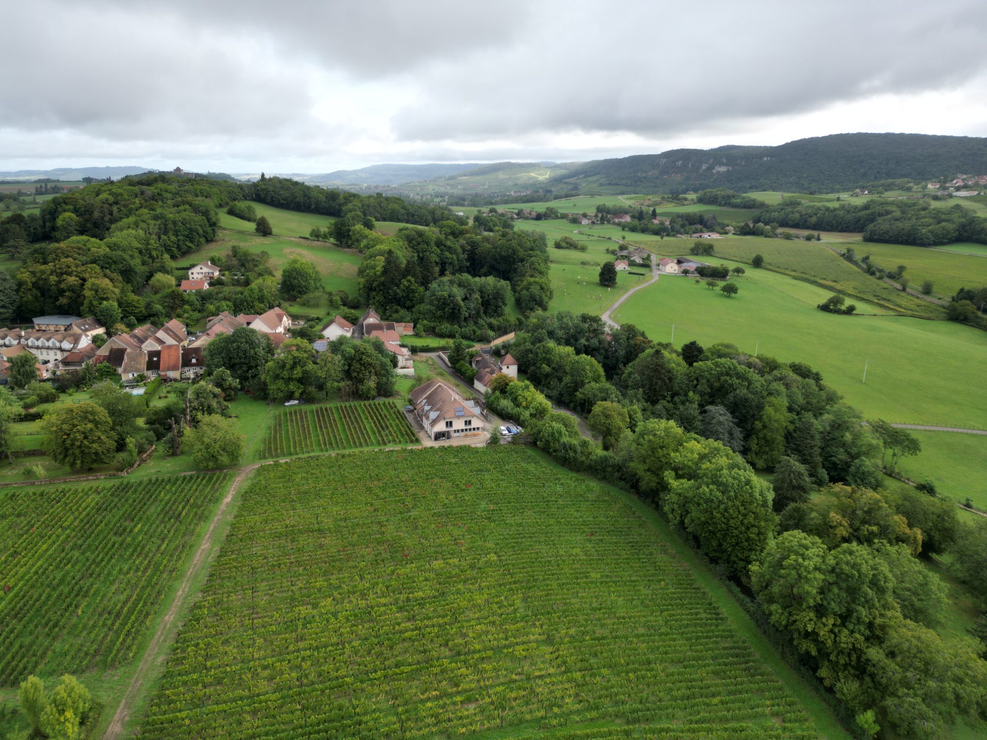 DANS LES VIGNES AU DESSUS DE LONS LE SAUNIER — photo 1