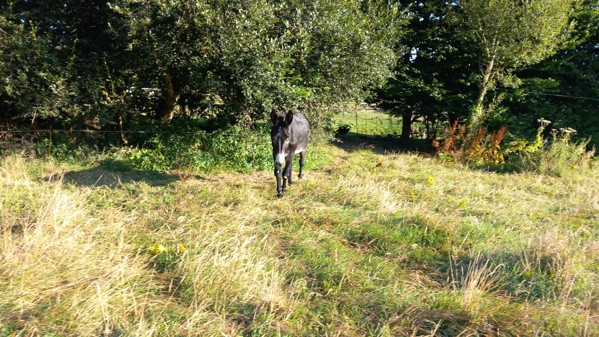 Domaine de Kergomar — photo 6