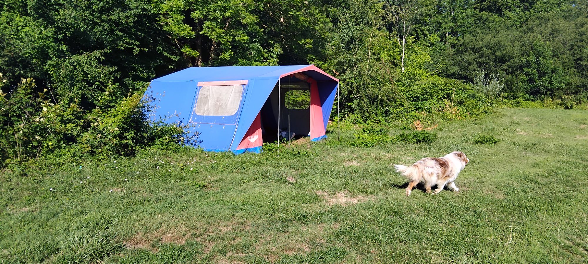 La petite ferme dans la prairie — photo 9