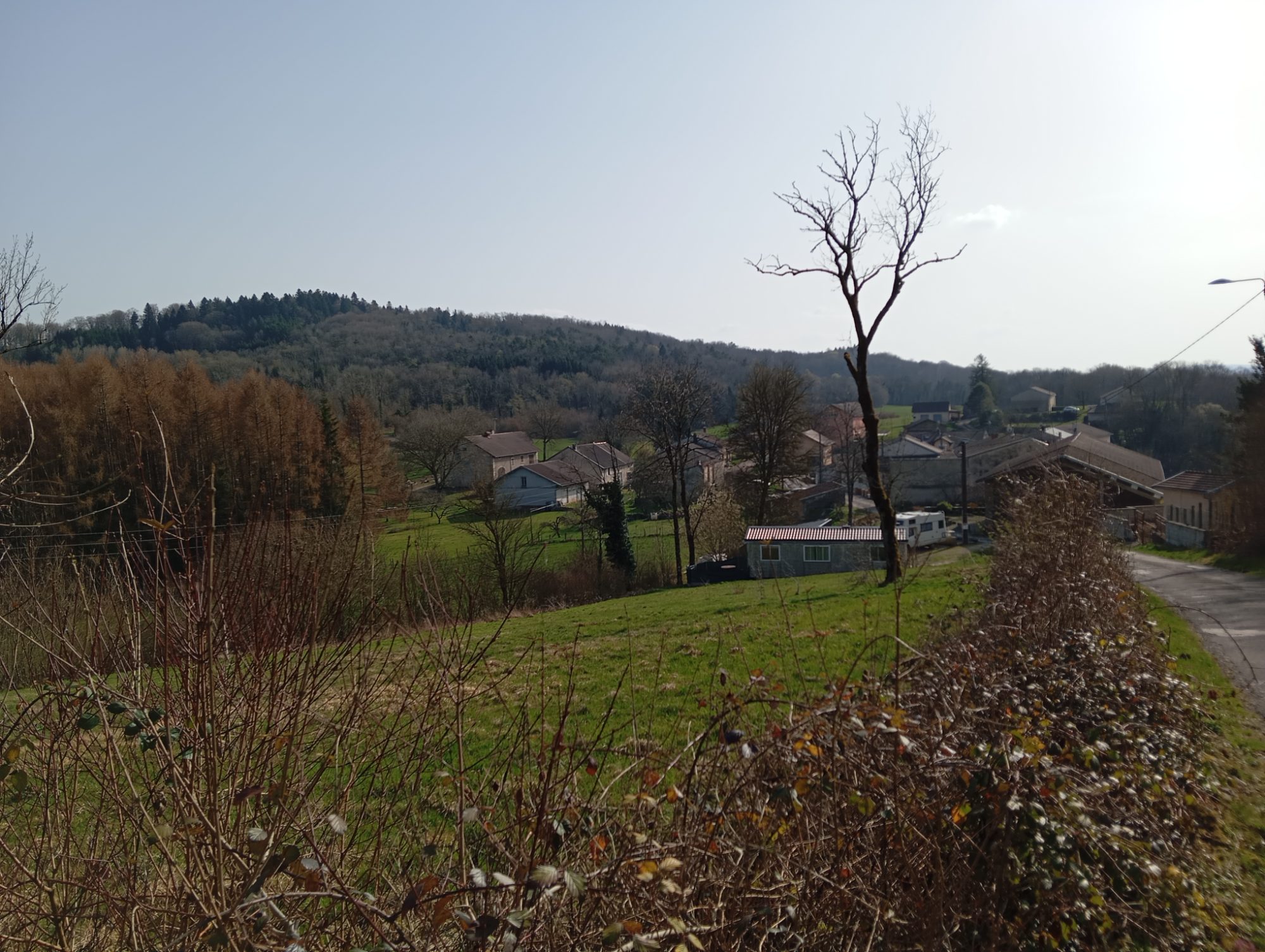 Clairière calme démo — photo 3