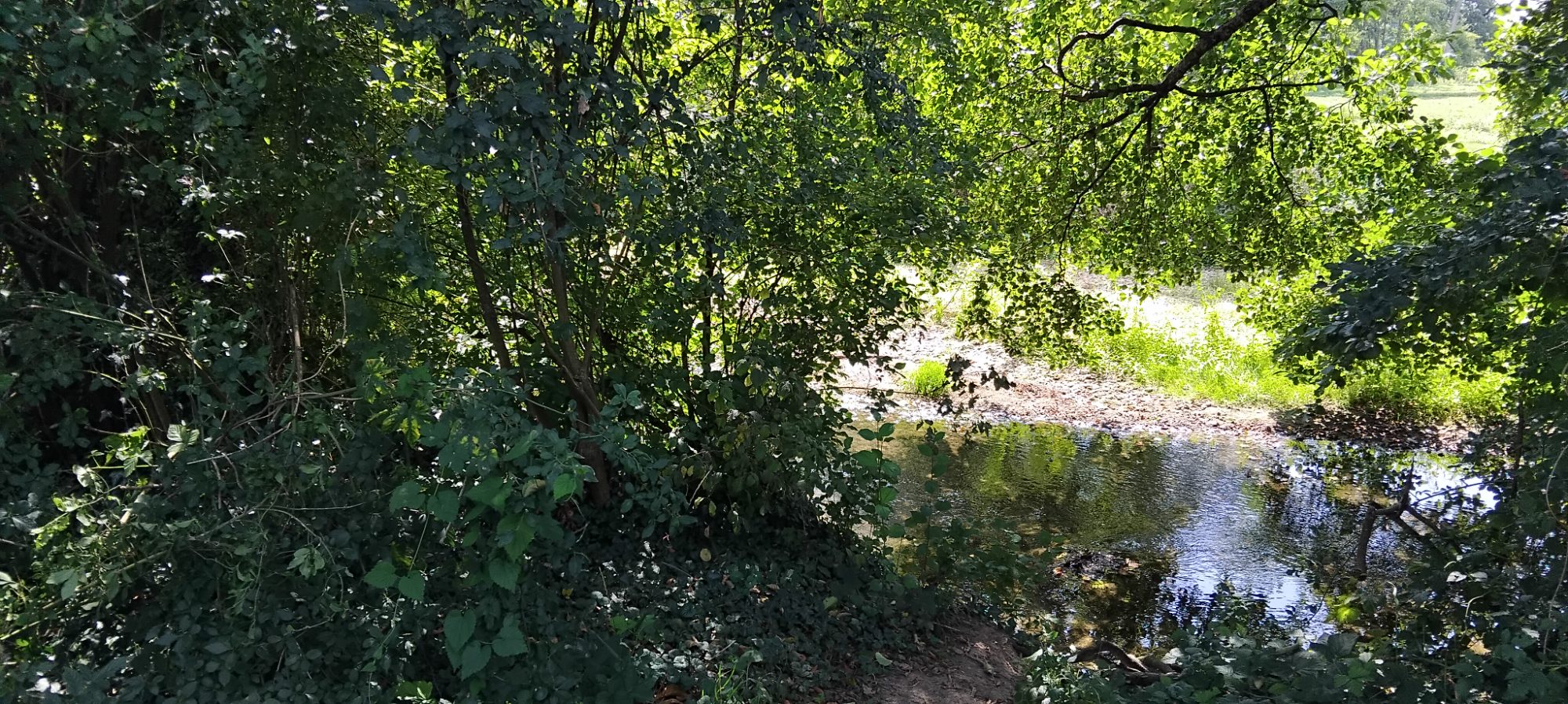 La petite ferme dans la prairie — photo 2